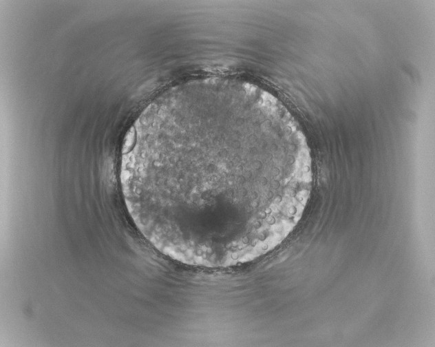 X0000115271106200911271940