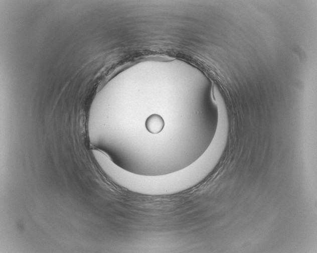 X0000115271107200911271940