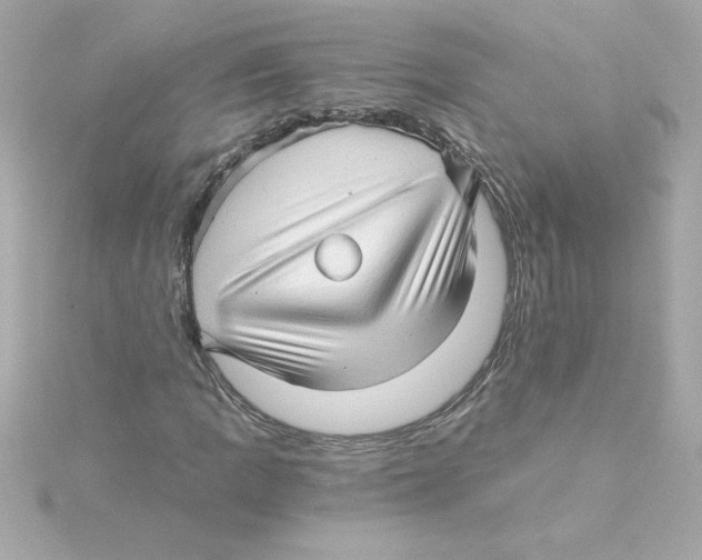 X0000115271109200911271940