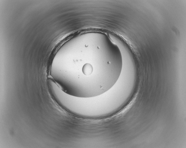 X0000115271113200911271940