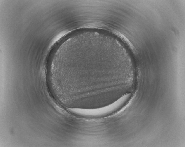 X0000115271114200911271940