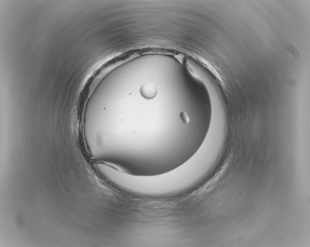 X0000115271117200911271940