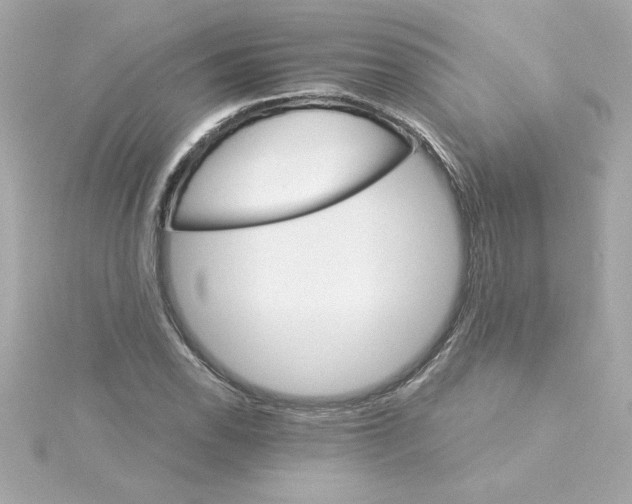 X0000115271118200911271940