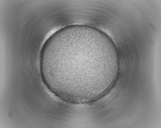 X0000115271122200911271940