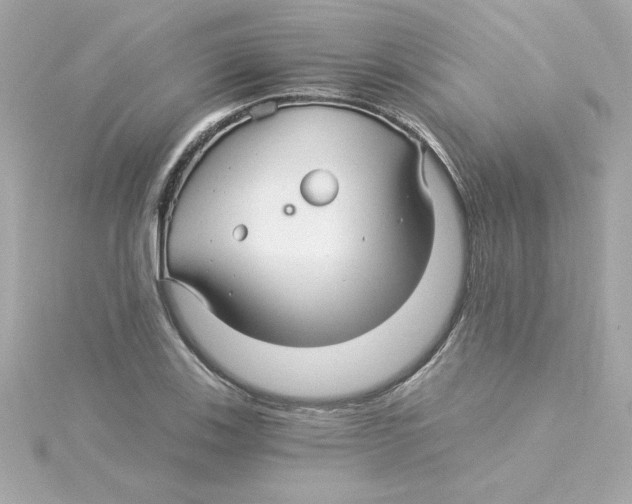 X0000115271123200911271940