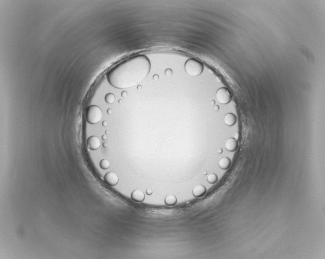 X0000115271126200911271940