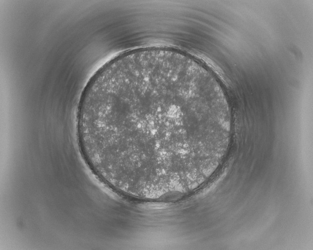 X0000115271134200911271940