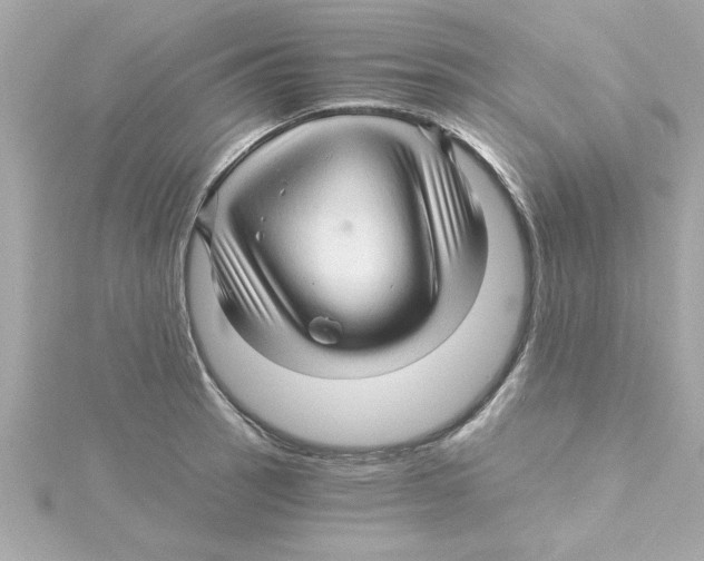 X0000115271137200911271940