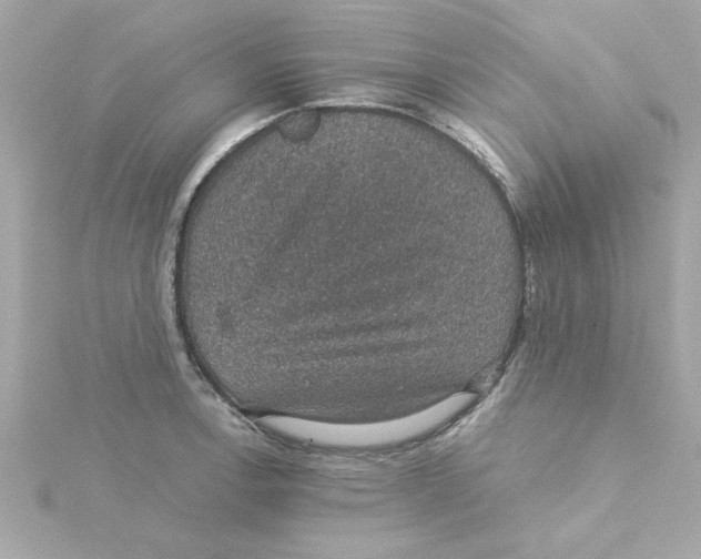 X0000115271138200911271940