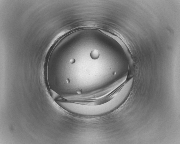 X0000115271139200911271940