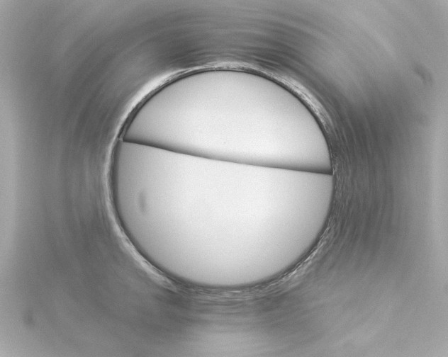 X0000115271142200911271940