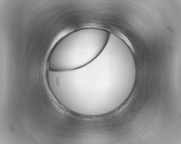 X0000115271146200911271940