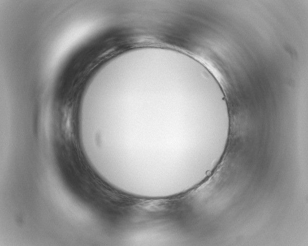 X0000115271150200911271940