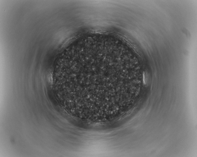 X0000115271155200911271940