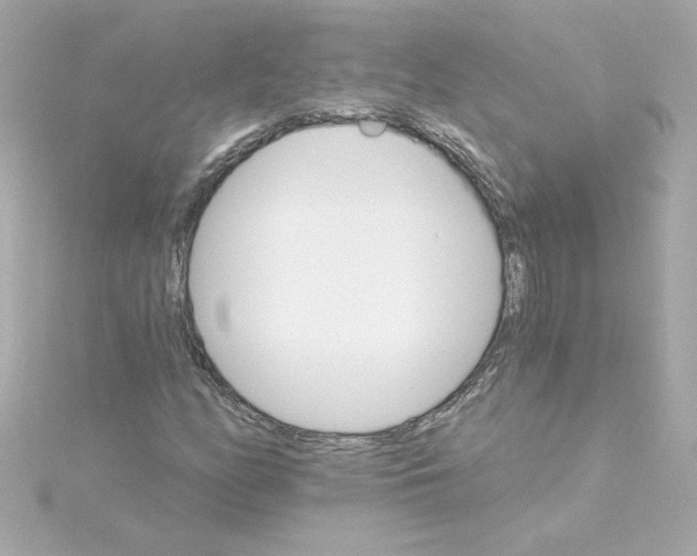 X0000115271158200911271940