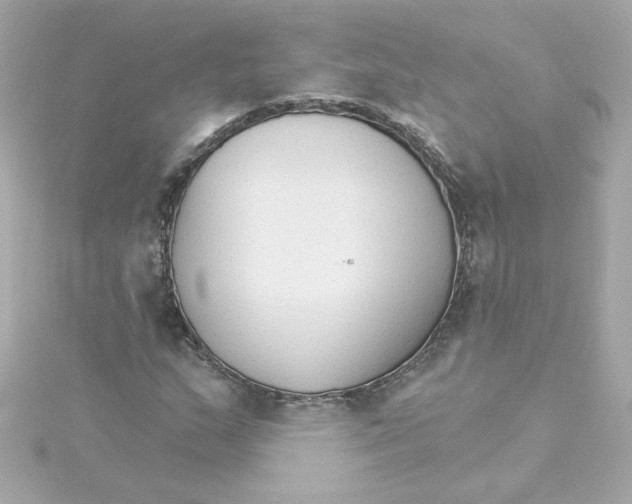 X0000115271159200911271940