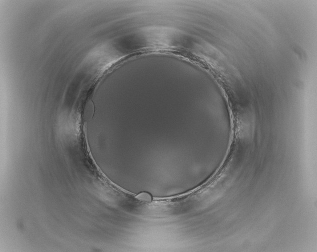 X0000115271161200911271940