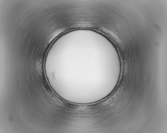 X0000115271162200911271940