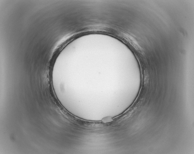 X0000115271164200911271940