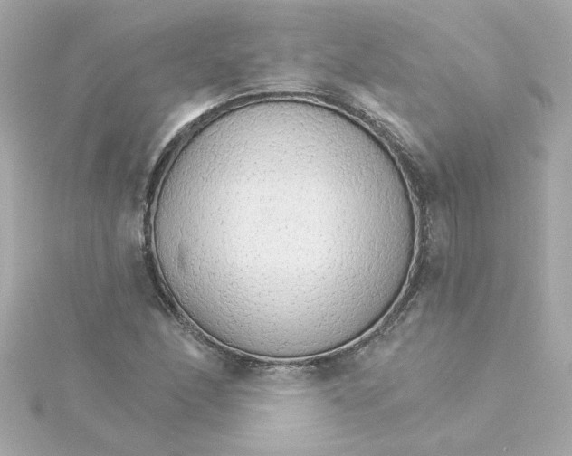 X0000115271166200911271940