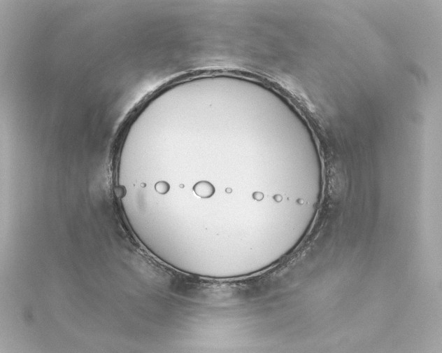 X0000115271167200911271940