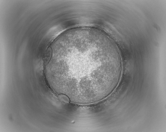 X0000115271169200911271940