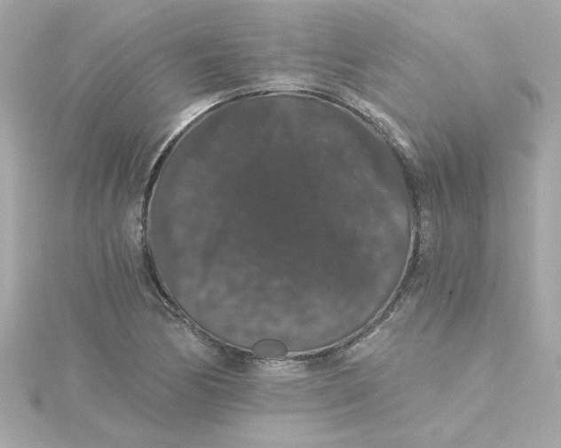 X0000115271170200911271940