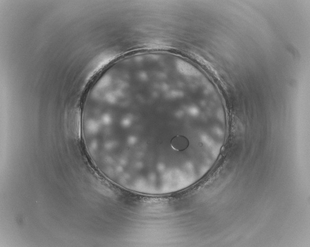 X0000115271171200911271940