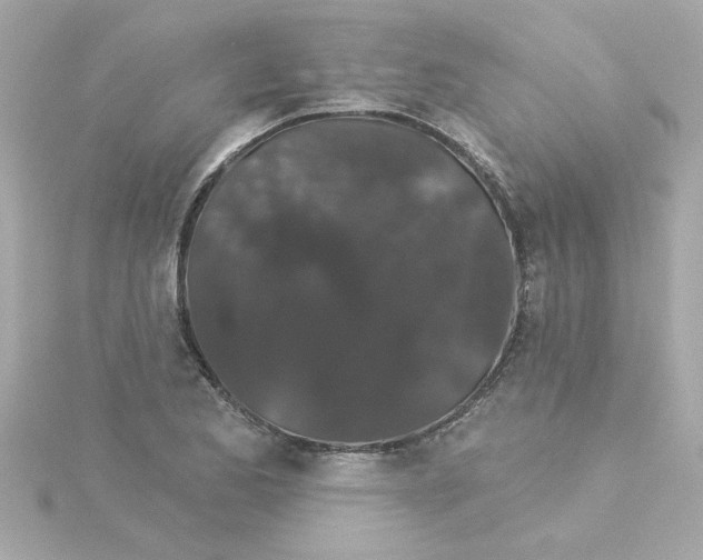 X0000115271173200911271940