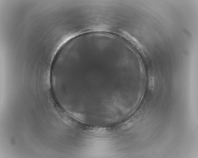 X0000115271174200911271940