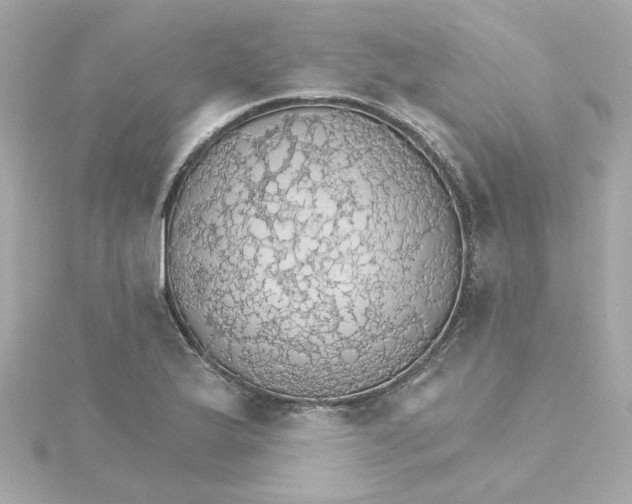 X0000115271175200911271939