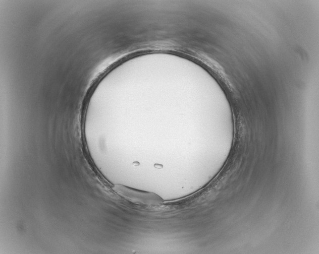 X0000115271176200911271939