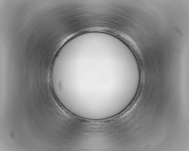 X0000115271177200911271939