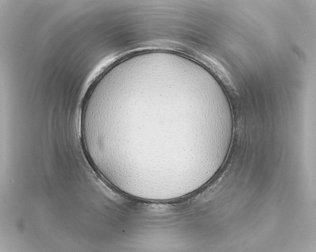 X0000115271180200911271939