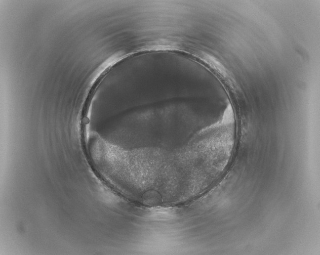 X0000115271181200911271939