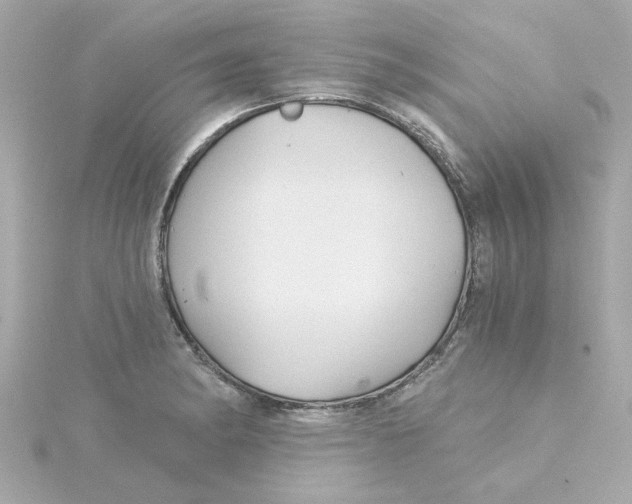 X0000115271182200911271939