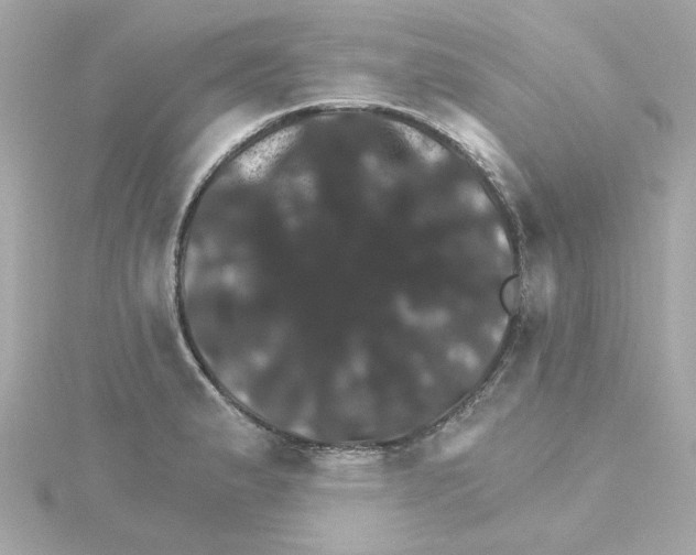 X0000115271183200911271939