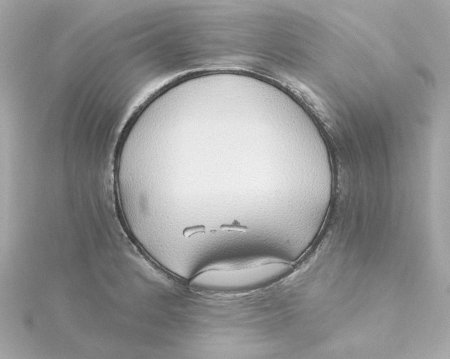 X0000115271184200911271939