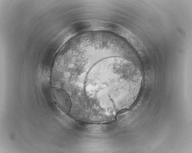 X0000115271185200911271939