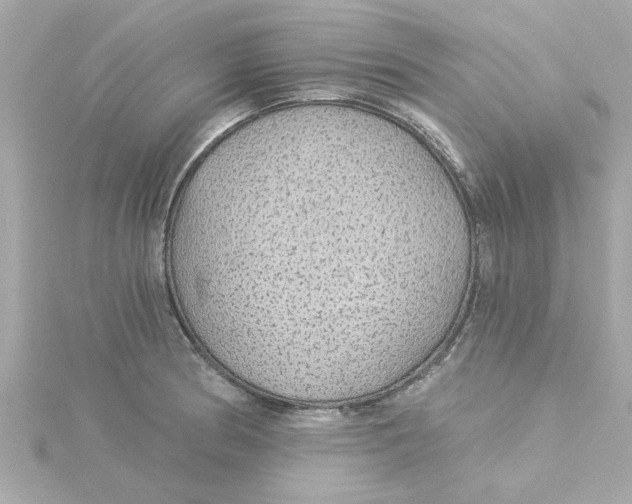 X0000115271186200911271939