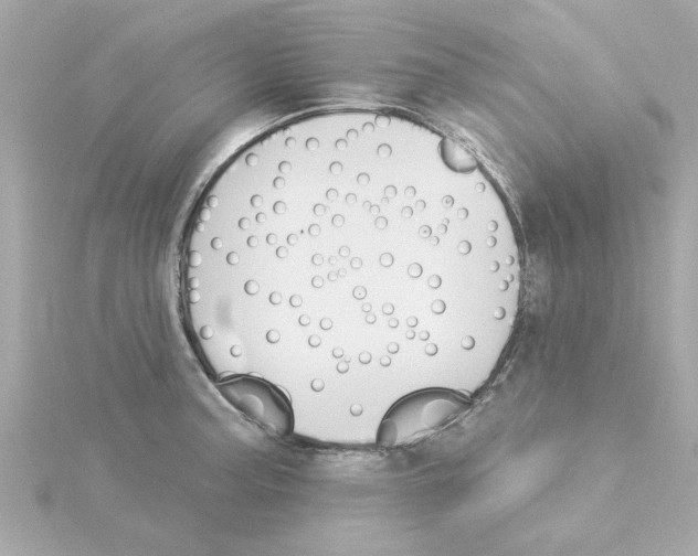 X0000115271187200911271939