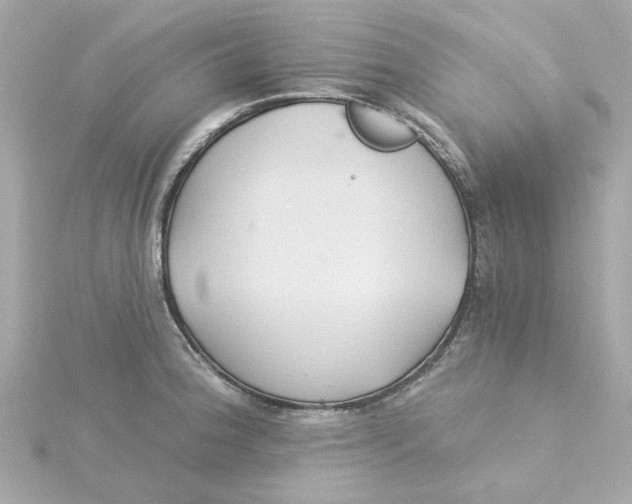 X0000115271188200911271939