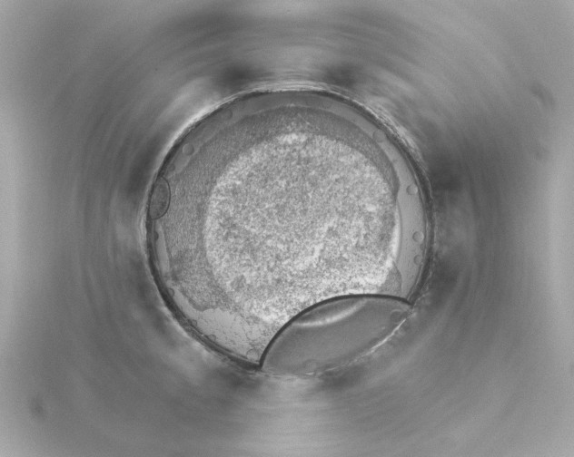 X0000115271189200911271939