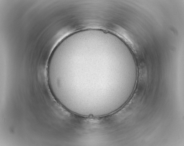 X0000115271190200911271939