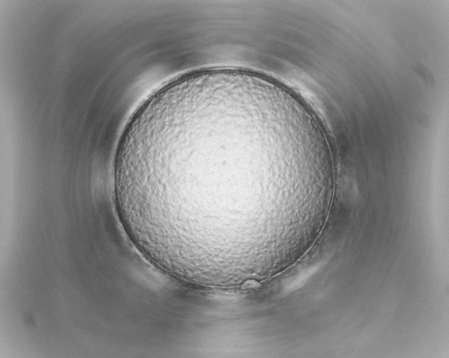 X0000115271191200911271939