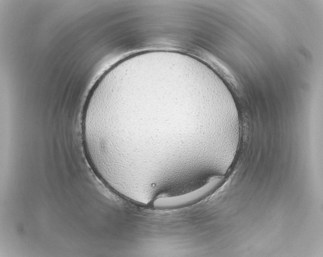 X0000115271192200911271939