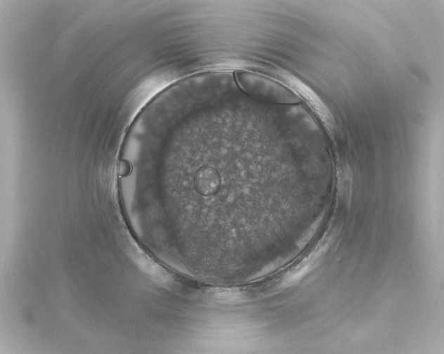 X0000115271194200911271939