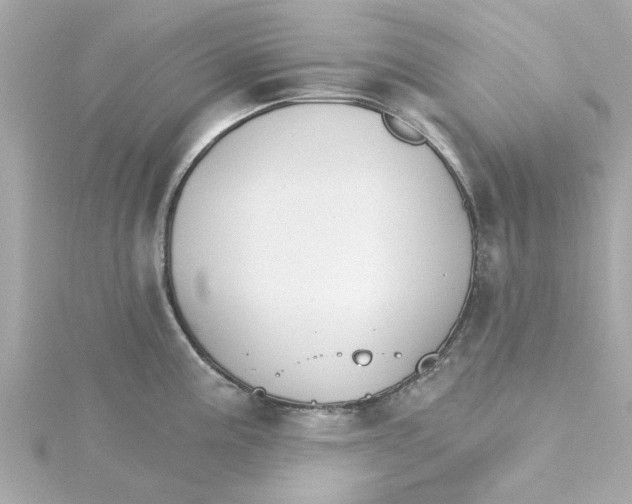 X0000115271195200911271939