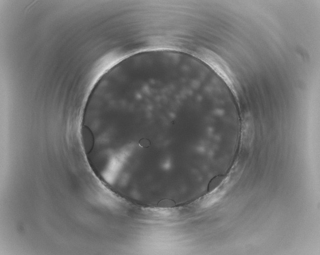 X0000115271197200911271939