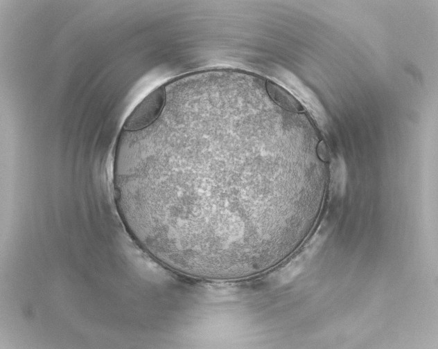 X0000115271198200911271939